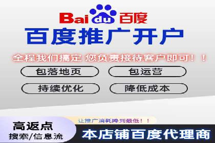 案例分析：百度广告竞价助力电商企业提升销售额